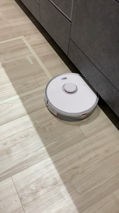 お掃除ロボットはロボロックS5MAXの記事動画