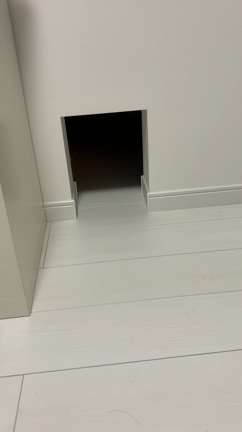 LIXILのペットドアを使ってみての感想の記事動画