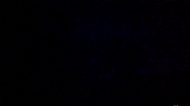 都会の中の蛍の記事動画