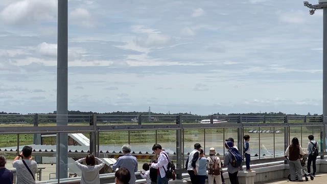★可愛い飛行機にワクワク♡の記事動画