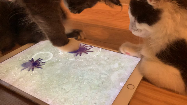アイパッドで遊んでみたの記事動画
