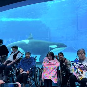 名古屋港水族館の画像
