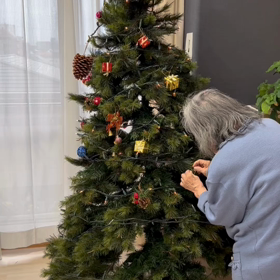 クリスマスツリーの画像