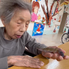 空ちゃんのお散歩の画像