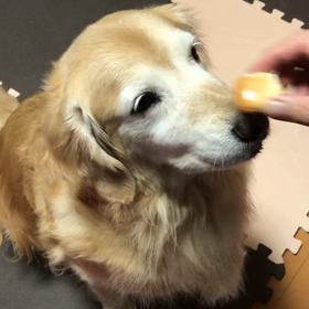 疑惑の鼻パクの画像