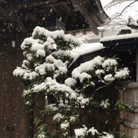 1/22のディナータイムはお休みとさせていただきます。の画像