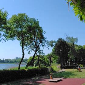 立夏の画像