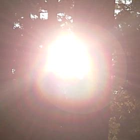 瀧原宮にて　の画像