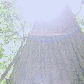 その2の画像