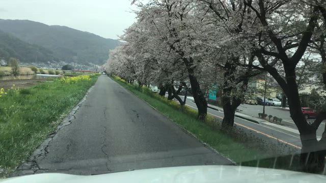 おはようございます　の記事動画