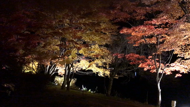 おはようございますの記事動画