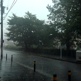 雷豪雨です‼️の画像