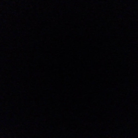 ギｨーギｨーがぁーがぁーの画像