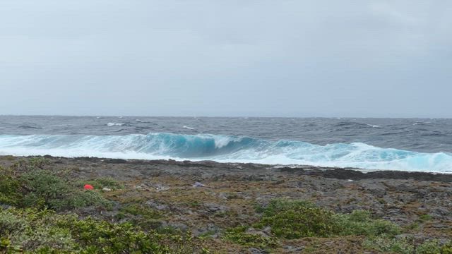 【福岡＋喜界島】喜界島観光ヾ(≧▽≦)ﾉ　前編の記事動画