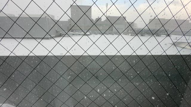 【ホワイトイルミネーションを見る札幌】朝から雪の中のスタバへ(+o+)の記事動画