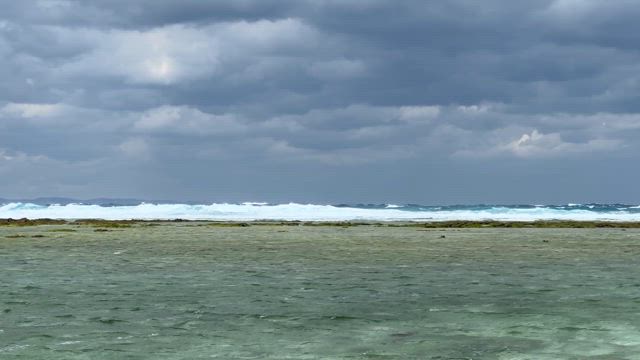 【福岡＋喜界島】喜界島観光ヾ(≧▽≦)ﾉ　前編の記事動画