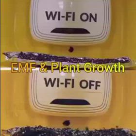 WiFi  ONとOFFの画像