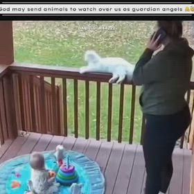危険から子供を守る為に自分を犠牲にしても守るの画像