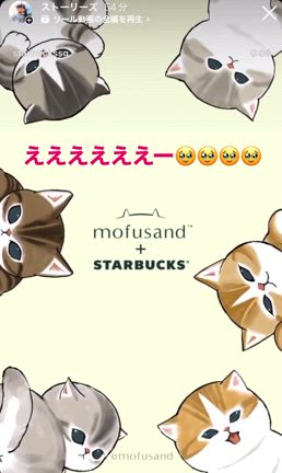 スターバックスxモフサンドの記事動画