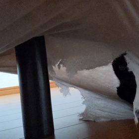 更なる隠れ家。の画像