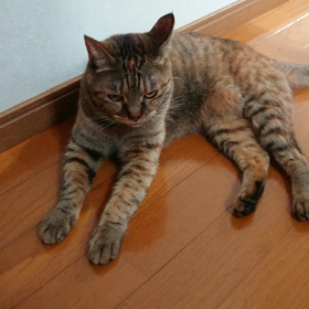 眠い眠いの画像