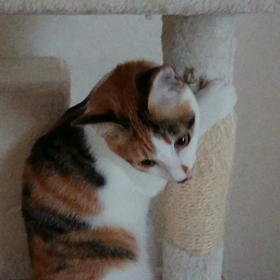 タワーにハグってます。の画像