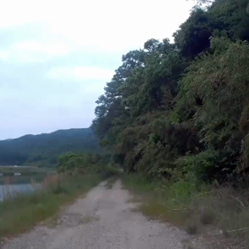 小物釣り動画(カワムツ)の画像