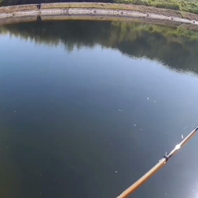 テンカラ ギル 動画の画像
