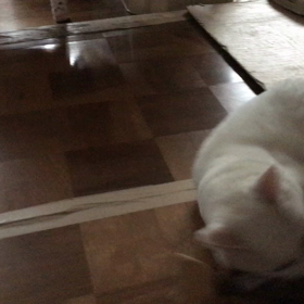 介護日記〜の画像