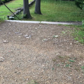 散歩の画像