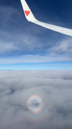 空間にも時間にも限りがある！の記事動画