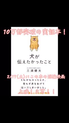 2024/02/12の記事動画