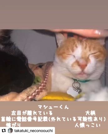 2024/02/10の記事動画
