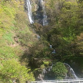 最後のあがき…の画像