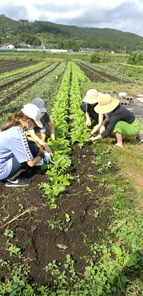 農業体験。そして農苑ランチ！の記事動画
