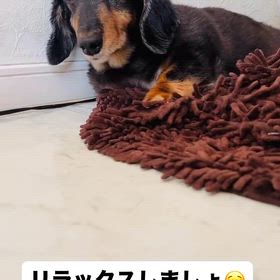 三連休の画像