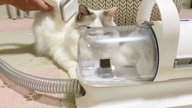 抜け毛がスポッ！の記事動画