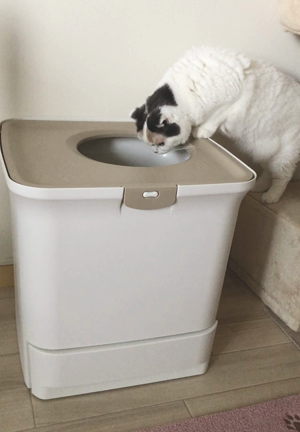 新しい猫トイレが凄かった！の記事動画
