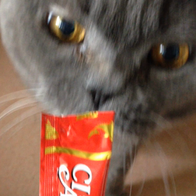 久しぶりの動画だよの画像