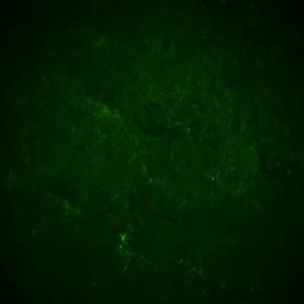 サモり、サモれば32　6/24アプデの画像