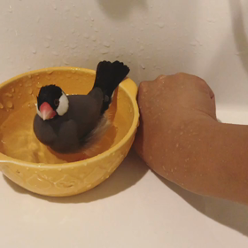 朝から汗だく〜の画像