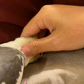 新しく始めた活動の画像