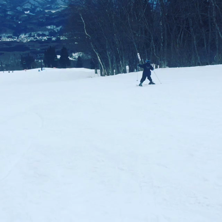 また１つ増えたの記事動画