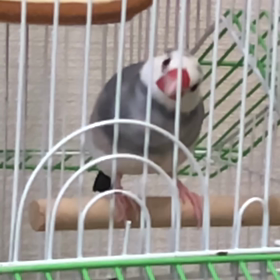 捻挫かも…の画像