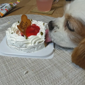 誕生日ケーキの画像