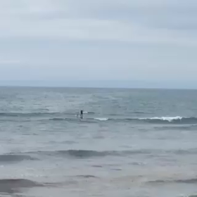 海遊び♪の画像