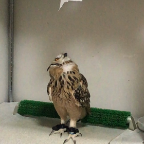 紙との攻防の画像