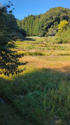 赤目自然農塾10月の学び（土曜日は共同作業で草刈り）の記事動画