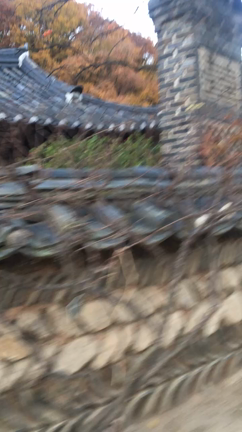 韓国３日目〜水原〜の記事動画