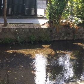 ○○○○を探せ！の画像